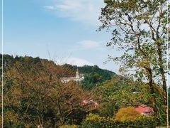 -莫干山风景区