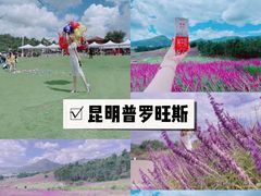 -阳宗海湿地
