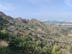 -红山国家森林公园