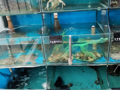 -东极岛海鲜
