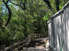 -上海佘山国家森林公园天马山园