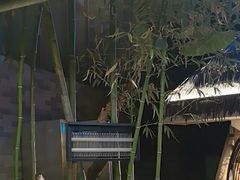 -陈熹公民族美食文化餐厅(中华广场店)