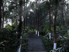 -重庆彩云湖湿地公园