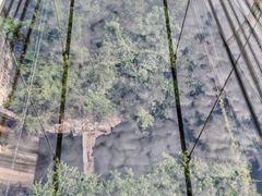 -客天下恐龙水晶玻璃桥