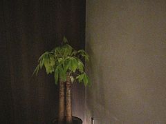 -泰之源足浴会所(玉环店)