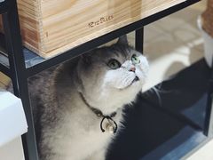 -Oasis绿洲银饰珍珠手作diy(壹方城店)