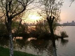 -艾溪湖湿地公园