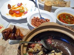 -鸽小宝(深圳首店)