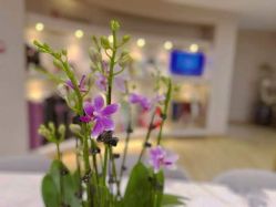 -酉嘉瑜伽YO+YOGA