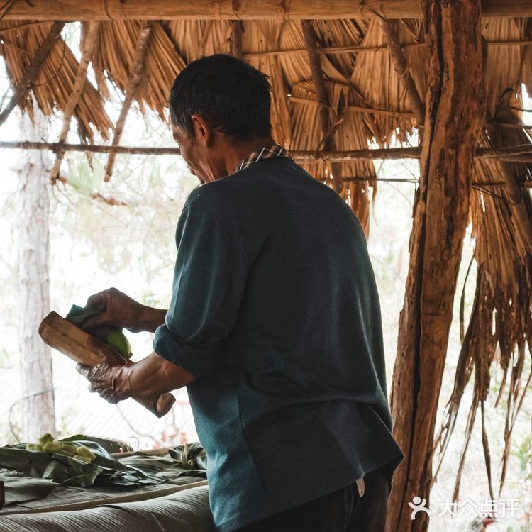 小象雨林|在西双版纳的原始森林里
