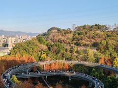 -福道