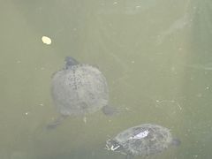 -燊海井
