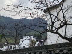-塔川景区