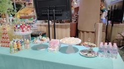 点击看大图 -卡通尼·Safari非洲探索乐园·生日会(金桥国际商业广场店)