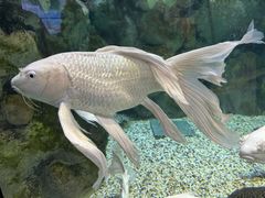 -正佳极地海洋世界