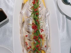 鸡汁大白鱼-玉玲珑(陆家嘴店)
