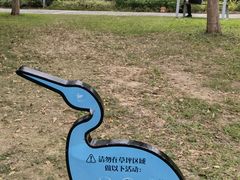 -福田红树林生态公园