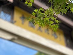 -藏龙百瀑风景区