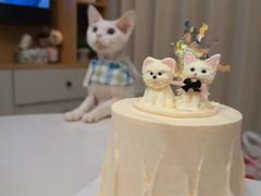 -你好独角兽·蛋糕甜品