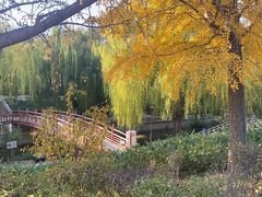 -元大都城垣遗址公园