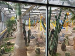 -南宫五洲植物乐园