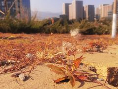 -北京长安天街