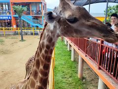 -西霞口神雕山野生动物世界