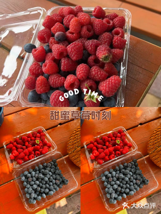 金石滩蓝莓谷庄园图片