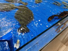 -永红源·啤酒烧烤海鲜大排档(台柳路店)
