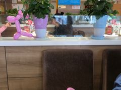 -嘉和一品粥(政府街店)