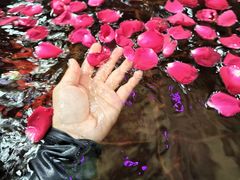 -东方华地城湿地温泉度假区