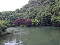 iphone_upload_pic-九溪烟树