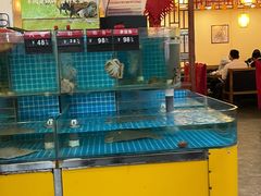 -东镇老火锅(高新区店)