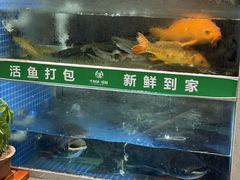 -全乐鱼馆·淳牌有机鱼直营店