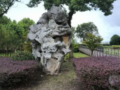 -江滩湿地公园