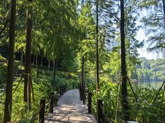 -重庆彩云湖湿地公园