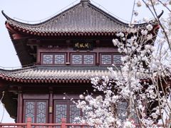 -堤角公园