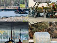 -上海海湾国家森林公园