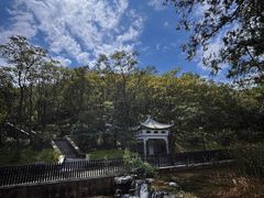 -白水寺森林公园