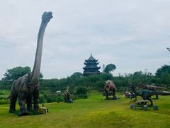 -上海海湾国家森林公园