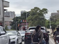 -广东惠东海龟国家级自然保护区