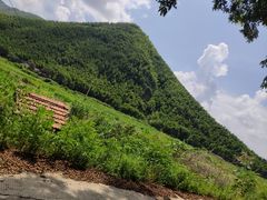 -老虎土菜馆·农家土菜