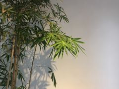 -载阳客栈