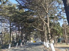 -八大关景区
