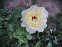 -党河风情线国家水利风景区