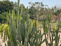 -东莞植物园