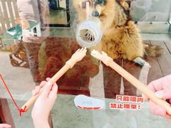 -J Create城市露营咖啡·简餐·宠物(上海动物园店)