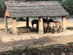-杭州野生动物世界