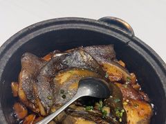 -海派美食·家宴海鲜青岛菜·石锅鲽鱼头(东方城店)