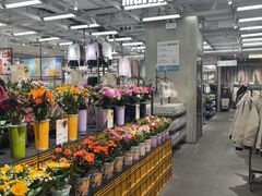 -鹿岛会员店(熙地港店)